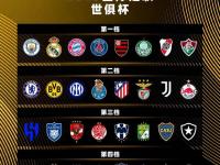 乐鱼体育官方网站-世俱杯亚洲区球队表现分析(世俱杯亚洲区球队表现分析图)