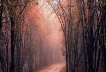 新疆队经过激烈角逐，最终击败对手