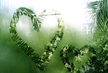 新疆队经过激烈角逐，最终击败对手