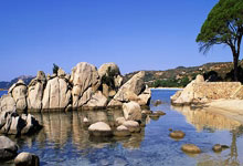 新疆队经过激烈角逐，最终击败对手